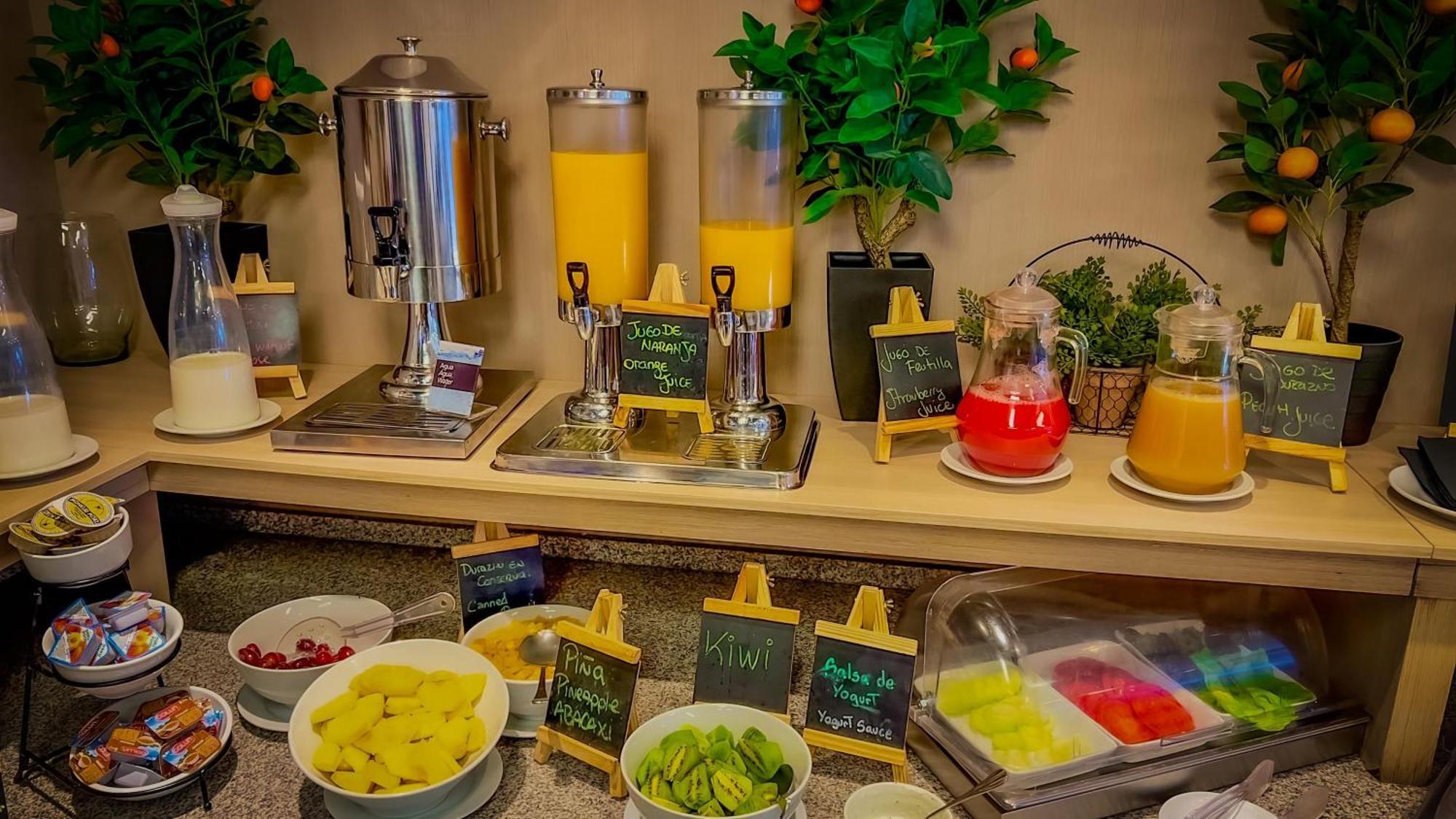 Panamericana Hotel Providencia Сантьяго Экстерьер фото